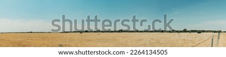 Panorama of the typical arid landscape of central texas with a blue sky, yellow pasture and a tree line in the background at noon Royalty-Free Stock Photo #2264134505