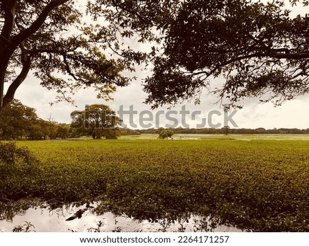 Beautiful Landscape pictures in Sri Lanka. Visit Sri Lanka. 