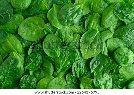 Fresh organic raw spinach leaves as a nutritious healthy green background
 Royalty-Free Stock Photo #2264176995