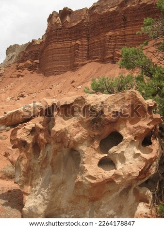 Big Close Rock in Front of Sandstone Cliff in Capitol Reef