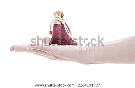 Golden money bag on the hand isolated on white background