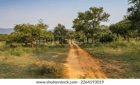 A narrow dirt road for safari in the jungle. Ruts on the soil are visible. There is green grass and trees on the roadsides. Mountains in the distance. Blue sky. India. Sariska National Park