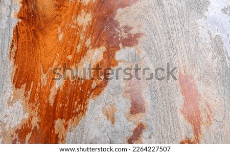 Old wooden skin wood texture and wood Natural wood background natural. Background from living wood. The skin of the forest nature. Texture patterns are formed by the rough bark of huge trees.