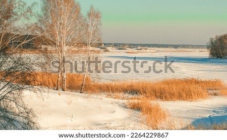 evening sun over a frozen siberian river