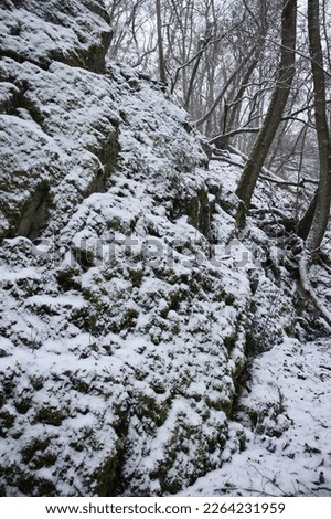 Light dusting of snow on a large rock on a winter day in the Palatinate Forest of Germany.