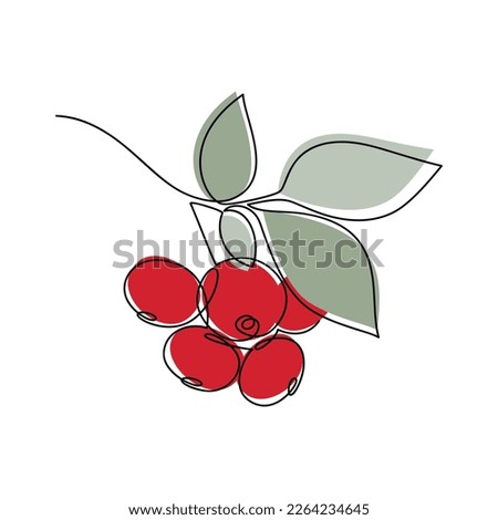 Red berries brunch vector one line continuous drawing illustration. Hand drawn linear silhouette icon. Minimal design element for print, banner, card, wall art poster, brochure, postcard. Royalty-Free Stock Photo #2264234645