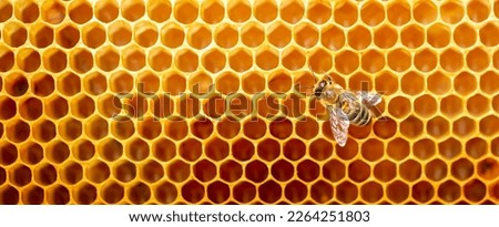 Beautiful honeycomb with bees close-up. A swarm of bees crawls through the combs collecting honey. Beekeeping, wholesome food for health. Royalty-Free Stock Photo #2264251803
