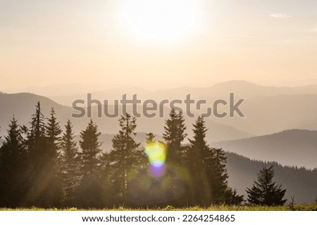 Rolling forest hills silhouettes with sunlight glares landscape photo. Beautiful nature scenery photography. Ambient light. High quality picture for wallpaper, travel blog, magazine, article