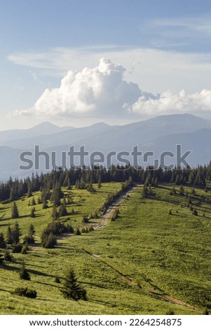 Hill with fir trees surrounded by mountains landscape photo. Cloudy sky. Beautiful nature scenery photography. Ambient light. High quality picture for wallpaper, travel blog, magazine, article