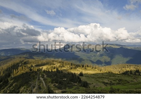 Wide mountain spruces hill under clouds landscape photo. Nature scenery photography with rainbow on background. Ambient light. High quality picture for wallpaper, travel blog, magazine, article
