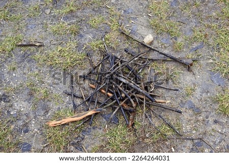 Drenched by rain small sticks gathered in a pile for a fire on the ground