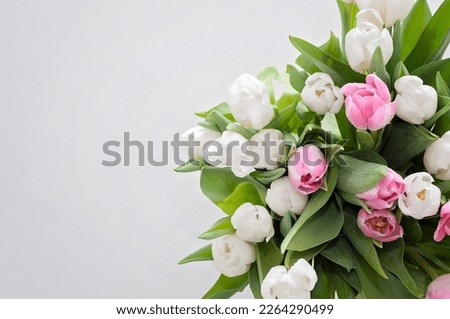 White and pink tulips on a white table were used as a spring decoration background. Bouquet of colorful tulips.