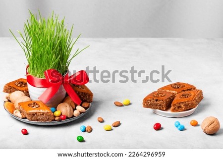 Novruz setting table decoration, wheat grass, baklava pastry and nuts. Nowruz arabic holiday, new year spring celebration, copy space.