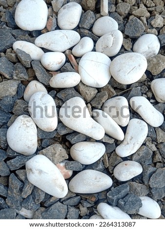 sprinkling of white coral and gray pebbles as a garden ornament