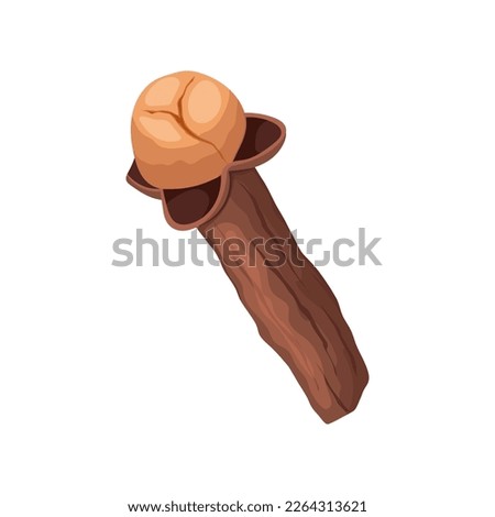 clove spice cartoon. food ingredient, seasoning natural, aroma, herb healthy, brown dry, flavor herbal clove spice vector illustration Royalty-Free Stock Photo #2264313621