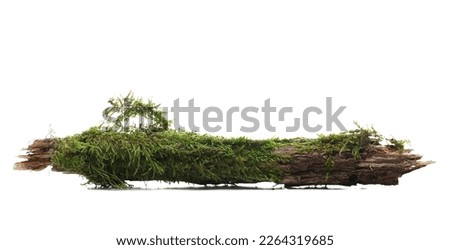 Fresh green moss on rotten branch isolated on white, side view Royalty-Free Stock Photo #2264319685