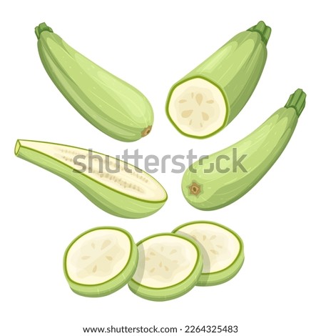 marrow vegetable set cartoon. agriculture plant, zucchini green, fresh squash, nature raw, food healthy, vegetarian courgette, harvest marrow vegetable vector illustration Royalty-Free Stock Photo #2264325483
