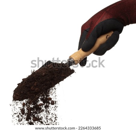 Fertilizer Coffee bean seed powder mixed soil fly fall in shovel, Fertilizer Coffee bean soil for planting float in air. Fertilizer Coffee bean throw in mid air. White background isolated high speed Royalty-Free Stock Photo #2264333685