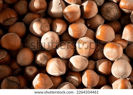 Hazelnut, hazelnut or food background, photo wallpaper. Fresh health organic brown filbert autumn idea concept. Top view. Above, up. No people, nobody. Pattern Royalty-Free Stock Photo #2264334461