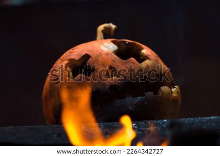 orange halloween pumpkin in ashes from the fire in the yard