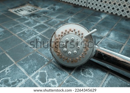 Silver shower head with limescales that should be cleaned and mold on tiles. Calcified shower due to hard water. Calcium mineral buildup. Royalty-Free Stock Photo #2264345629