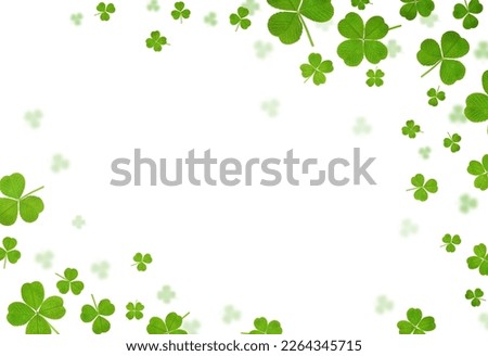 clover leaves are scattered in the form of a frame on a white isolated background