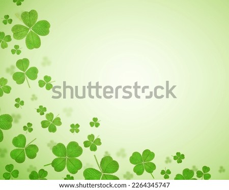 clover leaves on a light green background with copy space. background for st. patrick's day