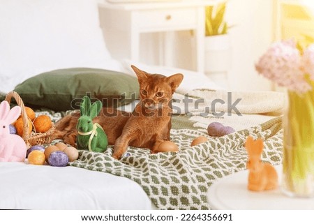 Cute Abyssinian cat with Easter eggs on bed 