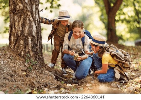 Happy family: two   kids boy and girl  with backpacks looking examining environment through magnifying glass while exploring forest nature  on sunny day during outdoor ecology school lesson Royalty-Free Stock Photo #2264360141