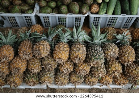 pineapple fruit wallpapers and backgrounds