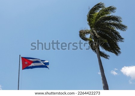 Cuabn flaf and palm tree wave in the wind in Santiago de Cuba, Cuba, Caribbean