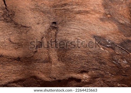 Tree bark textured wallpaper and background