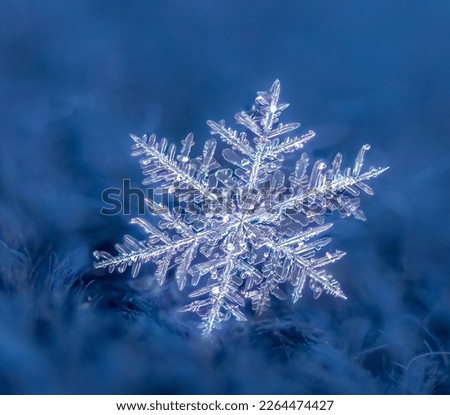 Dendrite snowflake on blue background