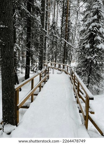 Vertical photo of a snow bridge over an icy river, snow forest, finnish lapland near rovaniemi
