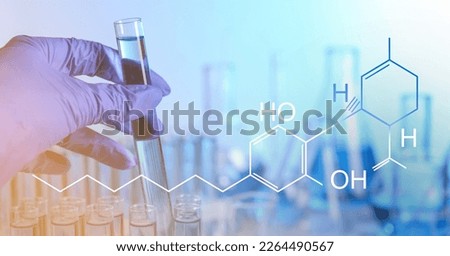 Laboratory worker holding test tube with sample indoors and structural formula of chemical compound, double exposure. Color toned Royalty-Free Stock Photo #2264490567