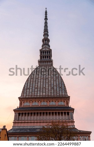 The Mole Antonelliana, a major landmark building in Turin, housing the National Cinema Museum, the tallest unreinforced brick building in the world.