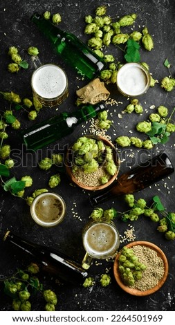 Fresh beer in bottles and glasses on a black stone background. Banner.
