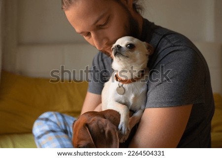 A man holds two small dogs in his arms. Chihuahua and dachshund.