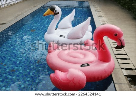 Pink and white flamingo float tubes in an outdoor swimming pool