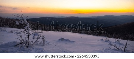 panorama of snow-capped mountains bieszczady at sunset, colorful winter sunset seen from the top of the mountain wielki rawka	