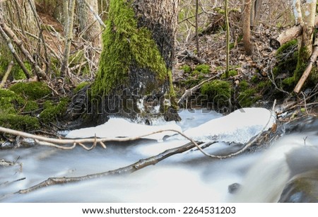 Stream in the nature in winter
