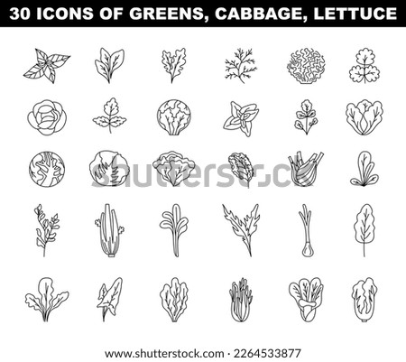 Greens, lettuce and cabbage black and white icons set. Vegetable salad ingredients, natural and vegetarian foods. Flat vector illustration Royalty-Free Stock Photo #2264533877