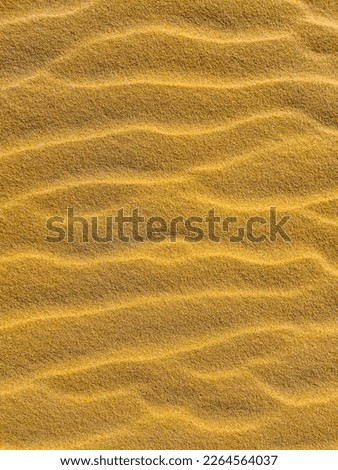sand texture as a background. sand of desert. yellow sand for designers 