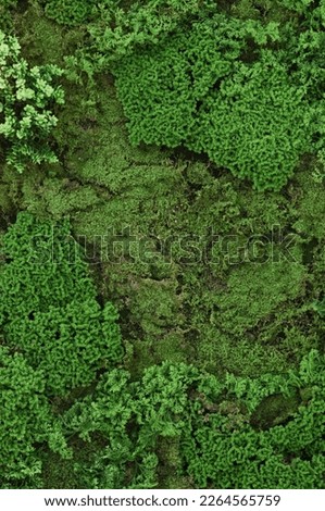 Vast green forest on top view. best neture green background.