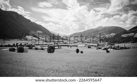 summer in austrian alps in black and white