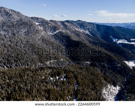 Aerial winter view of Rhodope Mountains near Persenk peak, Smolyan Region, Bulgaria
