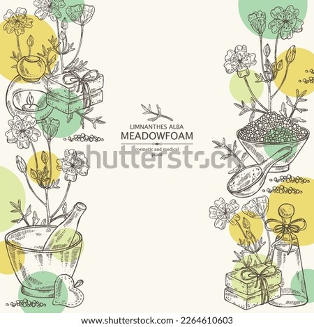 Background with meadow foam: plant, flowers and leaves. Limnanthes alba. Oil, soap and bath salt . Cosmetics and medical plant. Vector hand drawn illustration Royalty-Free Stock Photo #2264610603
