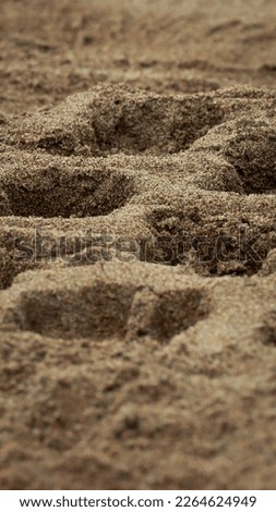 Details of sand on the beach