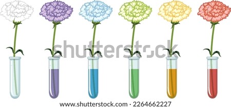 Colour changing flower science experiment illustration