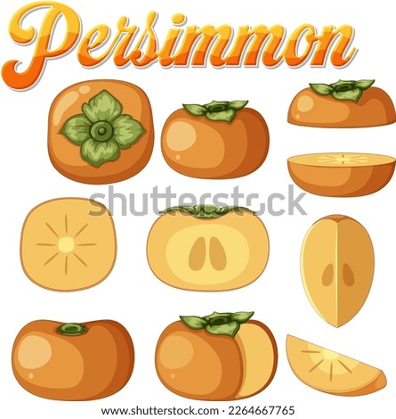 Set of persimmon fruit illustration